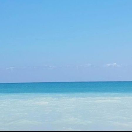 Apartamento Junto Al Mar Con Wifi Y Piscina ساغونتو المظهر الخارجي الصورة