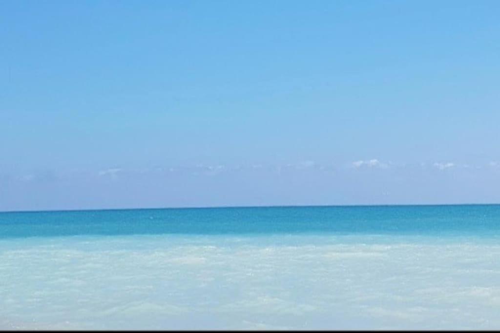 Apartamento Junto Al Mar Con Wifi Y Piscina ساغونتو المظهر الخارجي الصورة